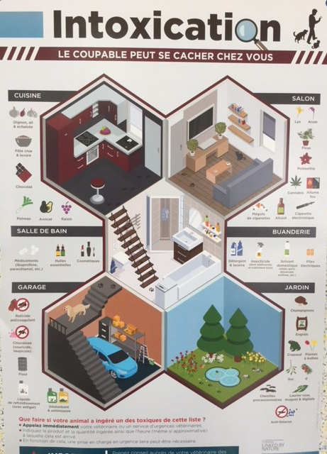 intox.jpg